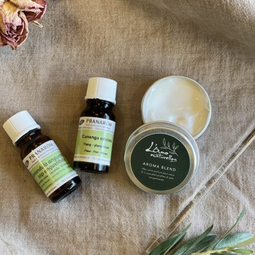 S005（やっぱ広島じゃ割）